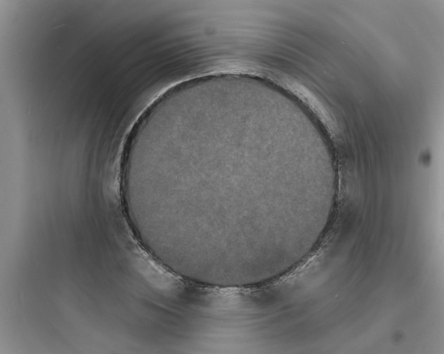 X0000097620828200803211743