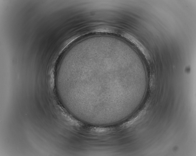 X0000097620829200803211743