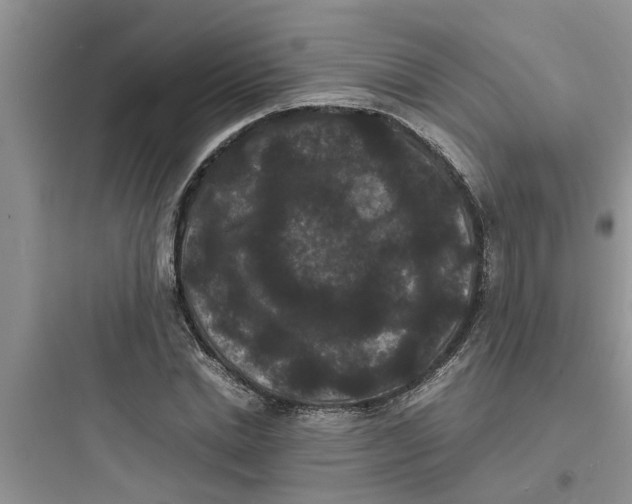 X0000097620830200803211743