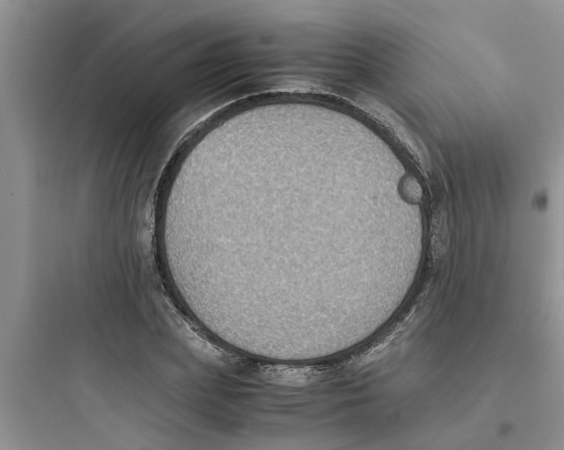 X0000097620831200803211743
