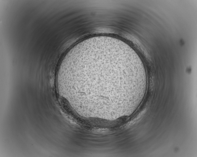 X0000097620833200803211743