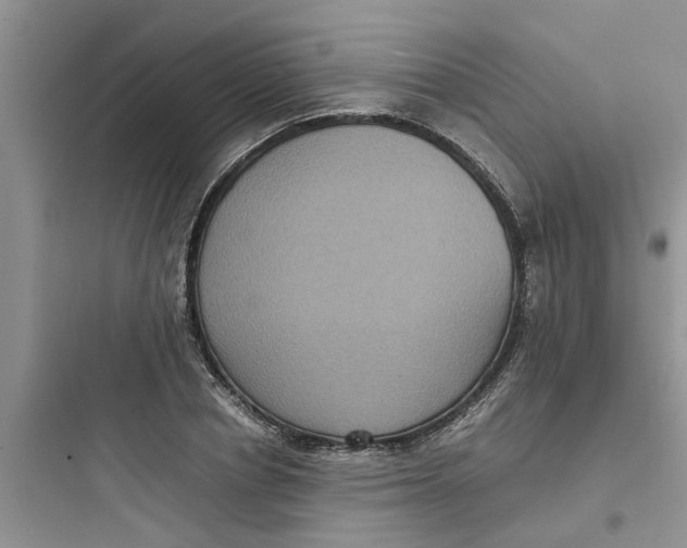 X0000097620834200803211743