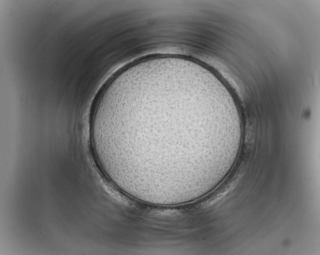 X0000097620837200803211743