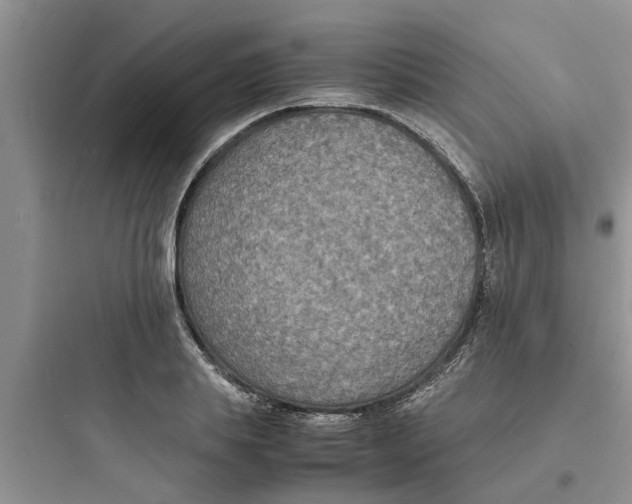 X0000097620839200803211743