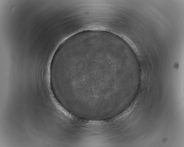 X0000097620840200803211743