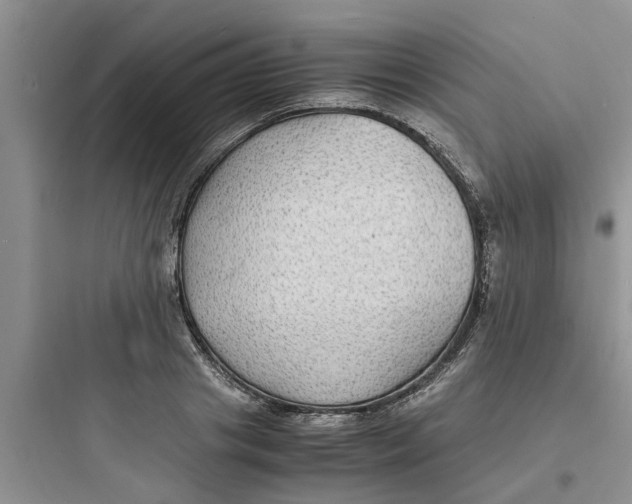 X0000097620841200803211743