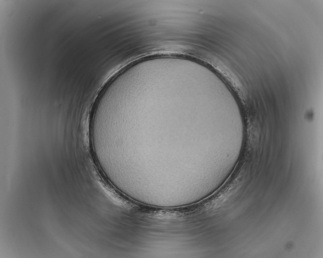 X0000097620842200803211743