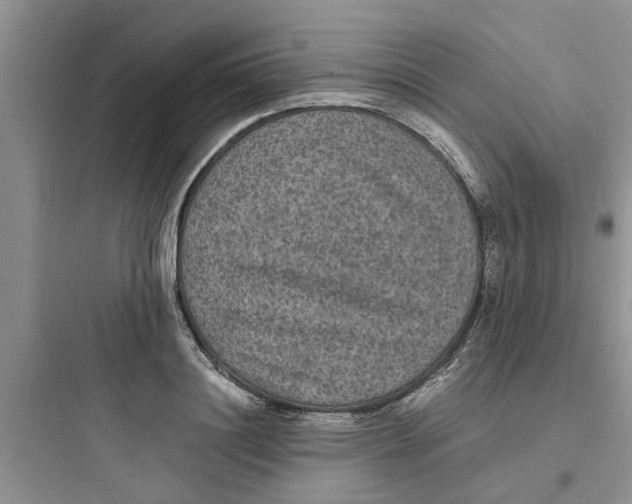X0000097620844200803211743