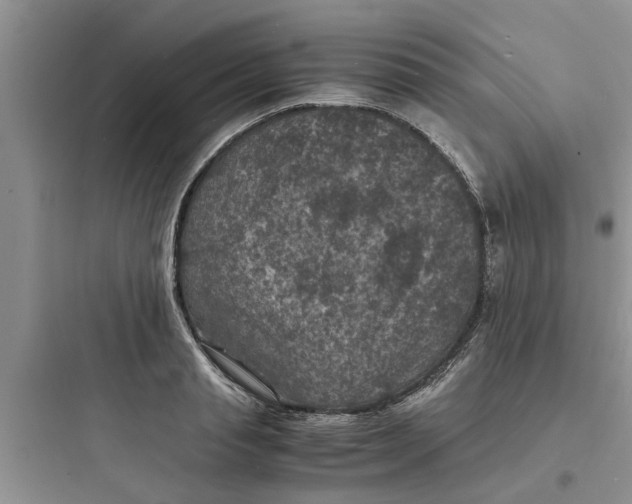 X0000097620845200803211743