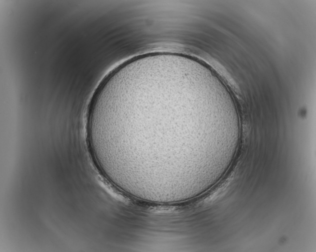 X0000097620846200803211744