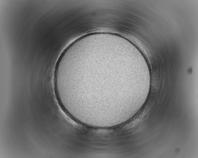 X0000097620847200803211744