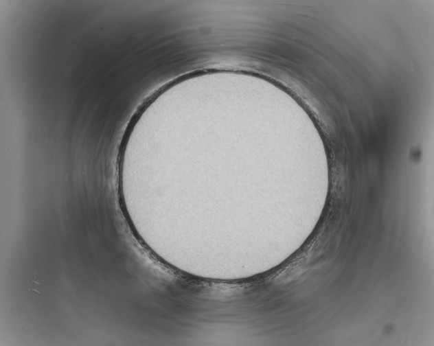 X0000097620848200803211744