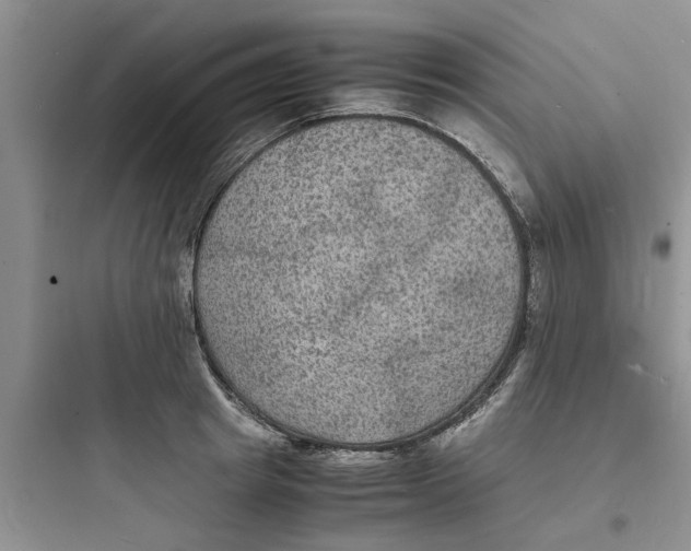 X0000097620849200803211744