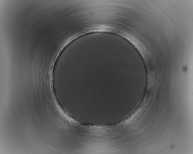 X0000097620850200803211744