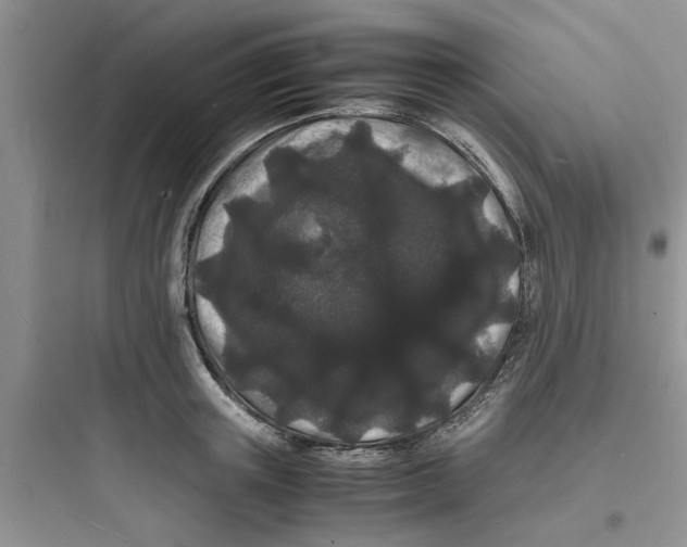X0000097620851200803211744