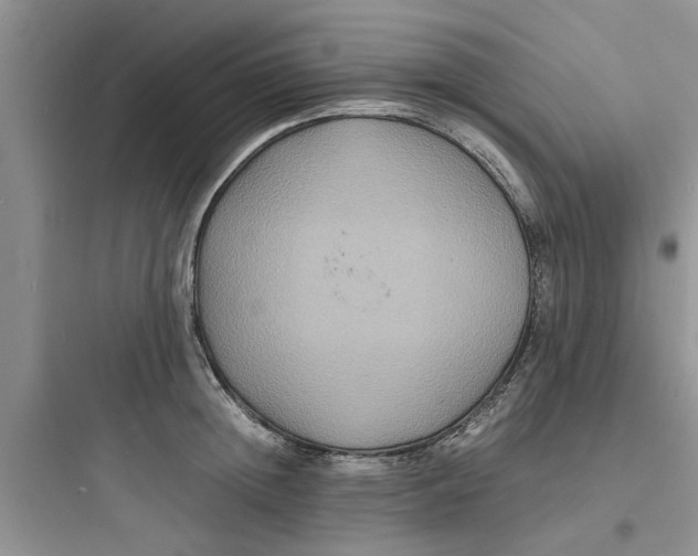 X0000097620852200803211744