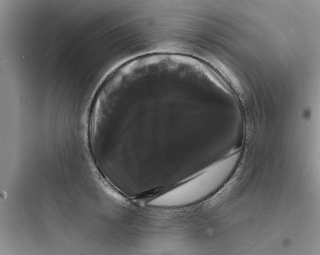 X0000097620854200803211744