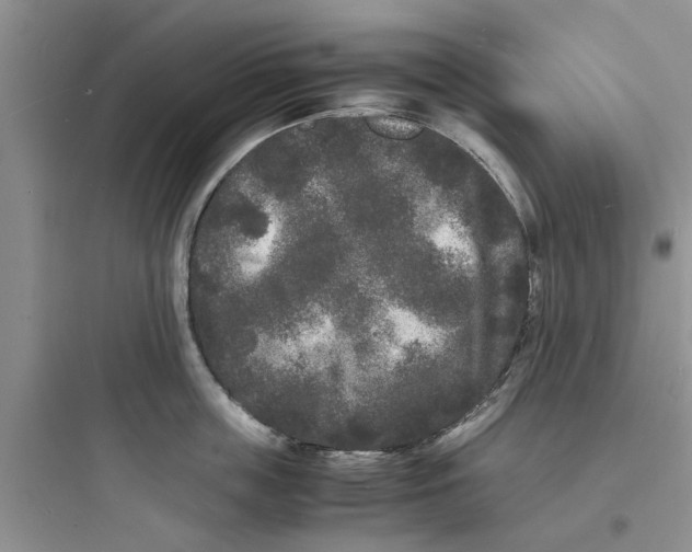 X0000097620859200803211744