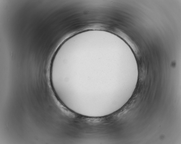 X0000097620861200803211744