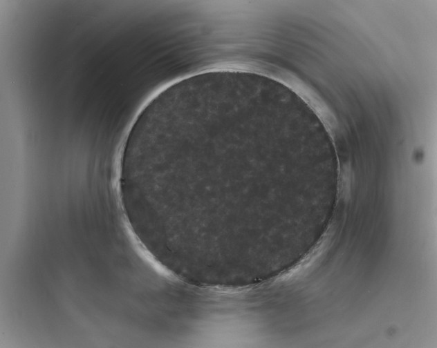 X0000097620862200803211744