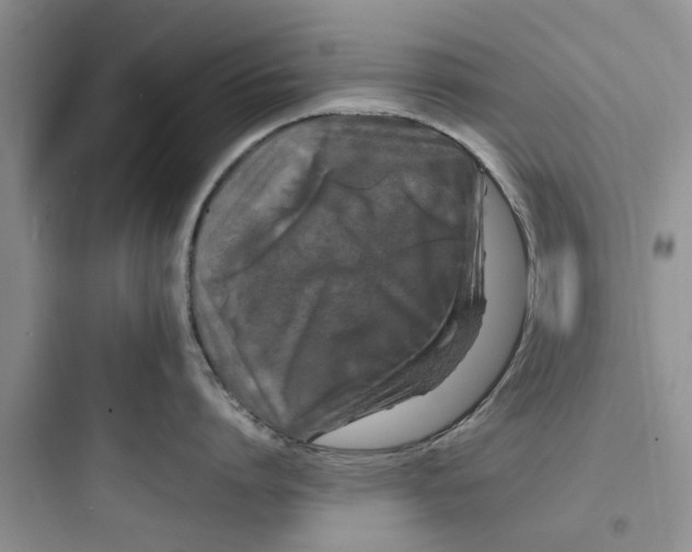 X0000097620864200803211744