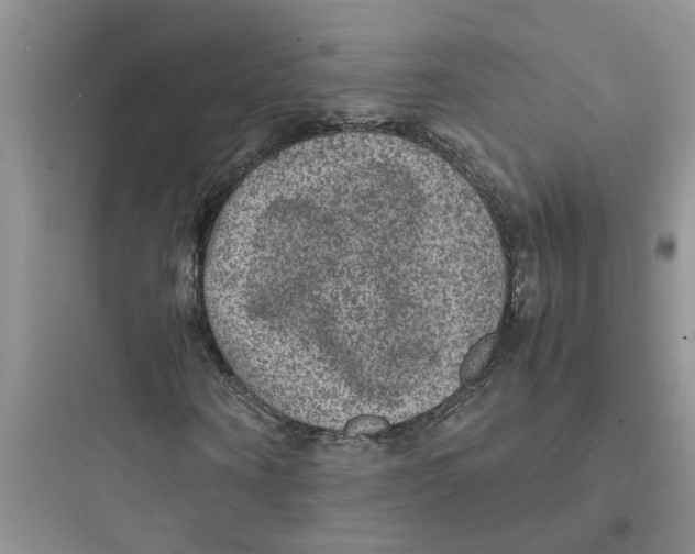 X0000097620866200803211743