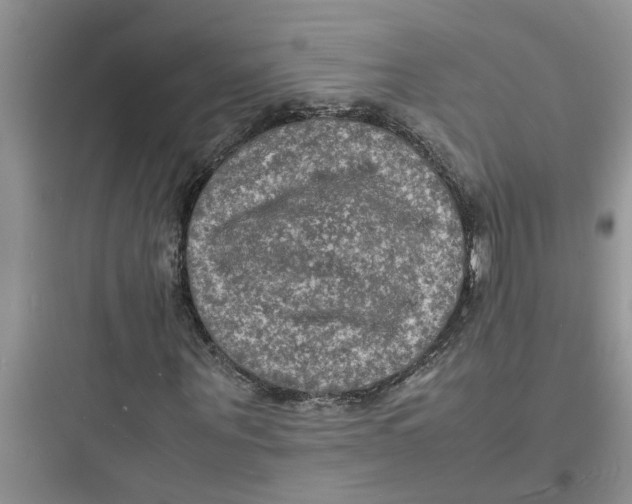 X0000097620867200803211743
