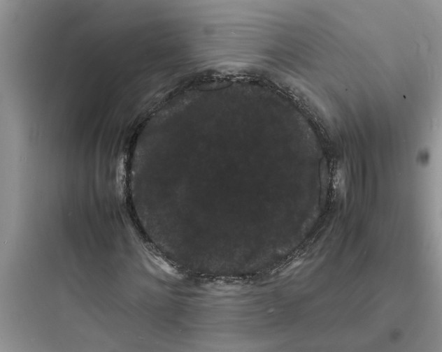 X0000097620868200803211743
