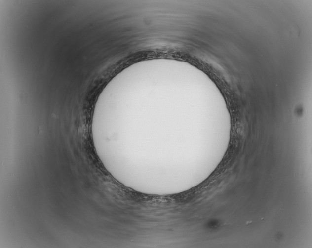 X0000097620869200803211743