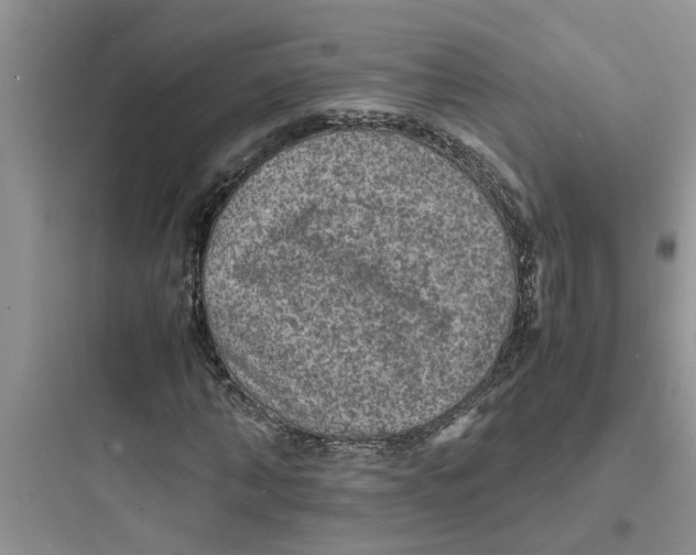 X0000097620870200803211743