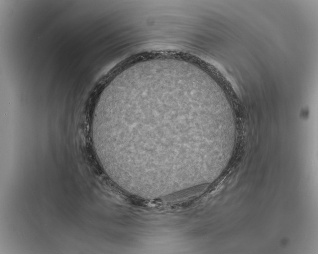 X0000097620871200803211743