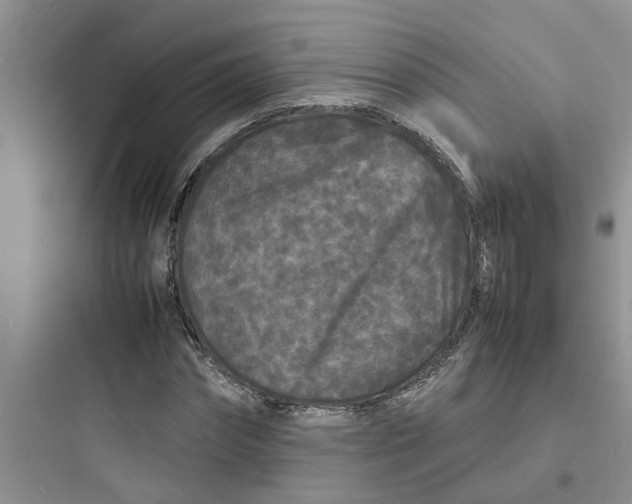 X0000097620874200803211743