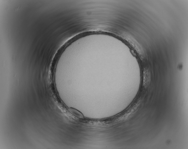 X0000097620876200803211743