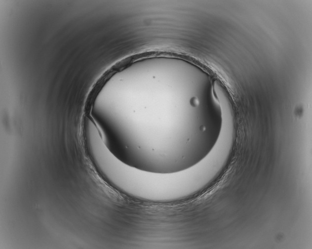 X0000097620880200803211743