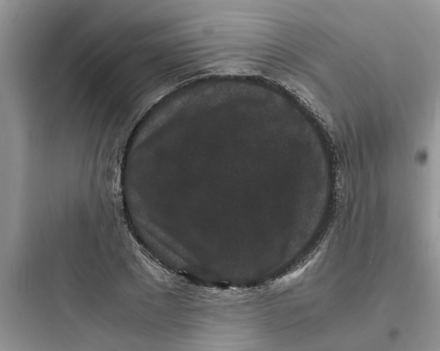X0000097620881200803211743