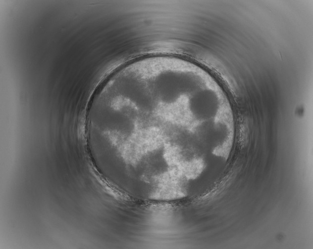 X0000097620882200803211743