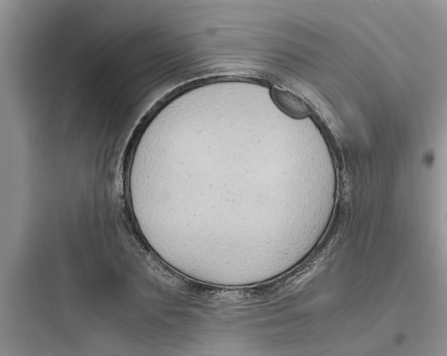 X0000097620883200803211743