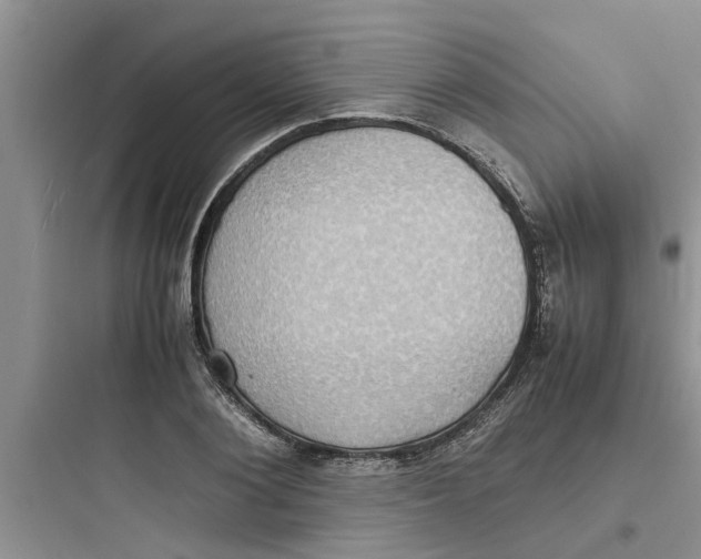 X0000097620884200803211743