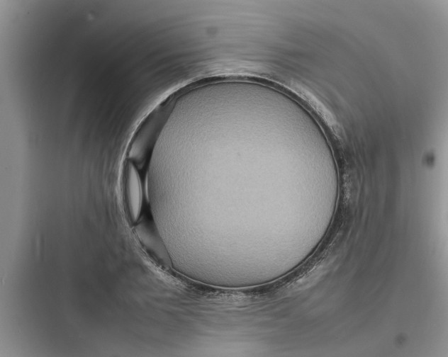 X0000097620885200803211743