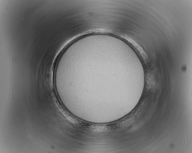X0000097620886200803211743