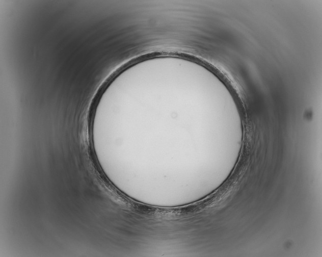 X0000097620887200803211743