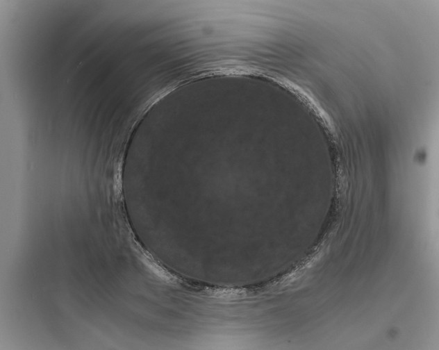 X0000097620889200803211743
