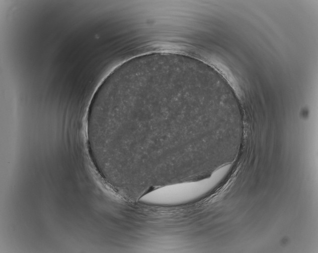 X0000097620891200803211743