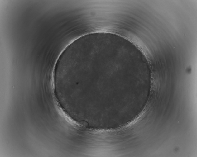 X0000097620892200803211743