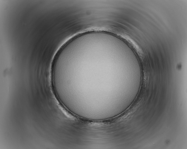 X0000097620894200803211743
