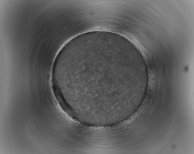 X0000097620896200803211742