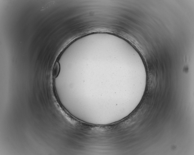 X0000097620898200803211742