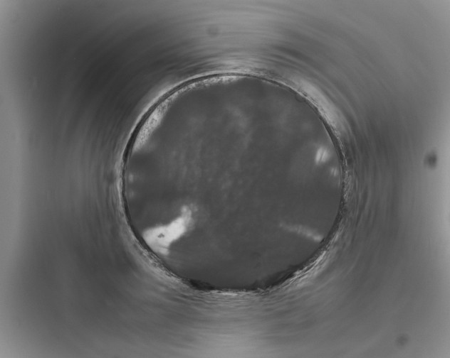 X0000097620899200803211742