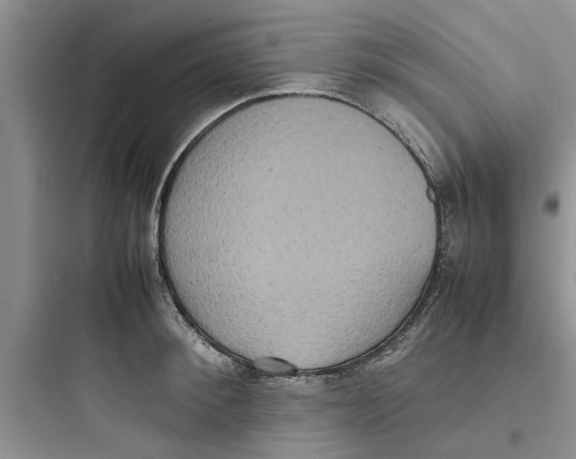X0000097620900200803211742