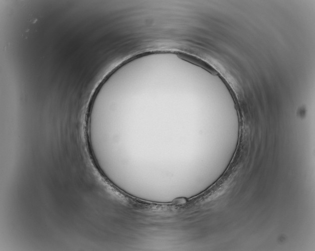 X0000097620901200803211742